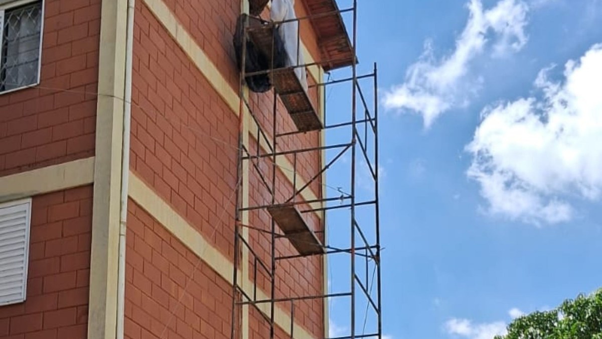 Atendimento de remoção de abelhas em condomínio em Campinas pelo Apiário Rainha Nova